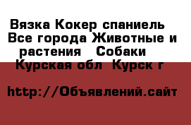 Вязка Кокер спаниель - Все города Животные и растения » Собаки   . Курская обл.,Курск г.